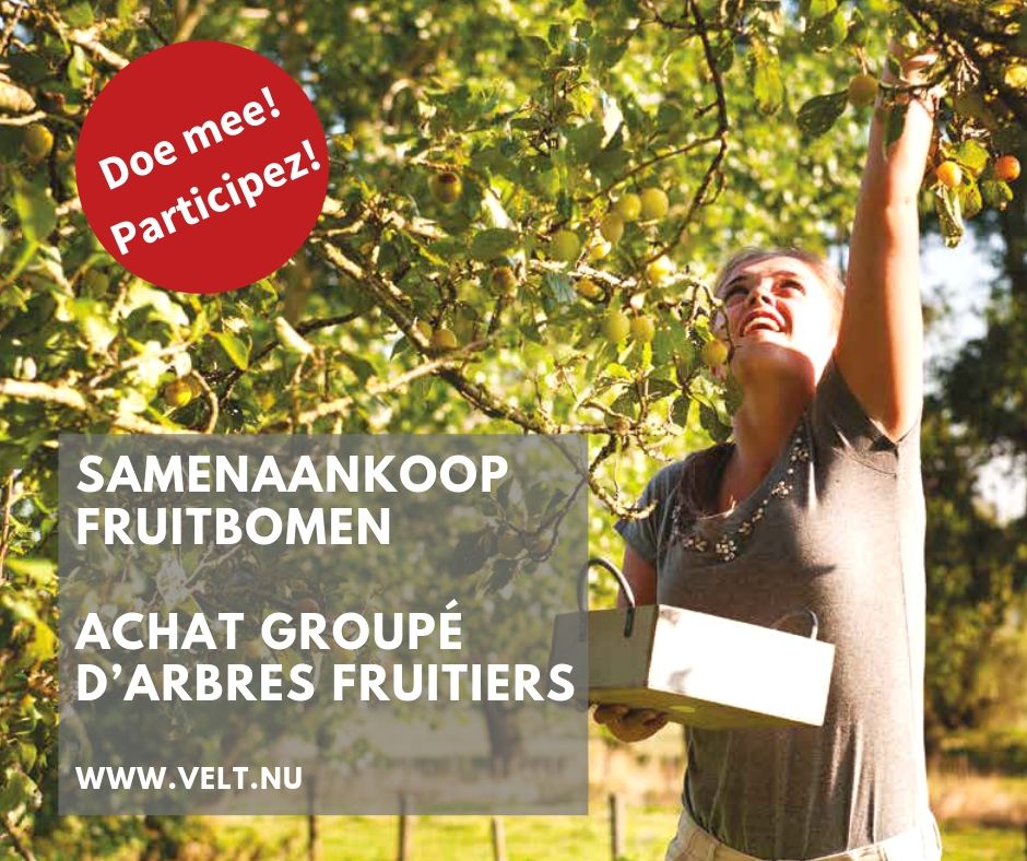 Samenaankoop Fruitbomen