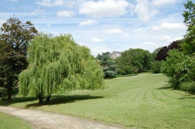 parc de forest