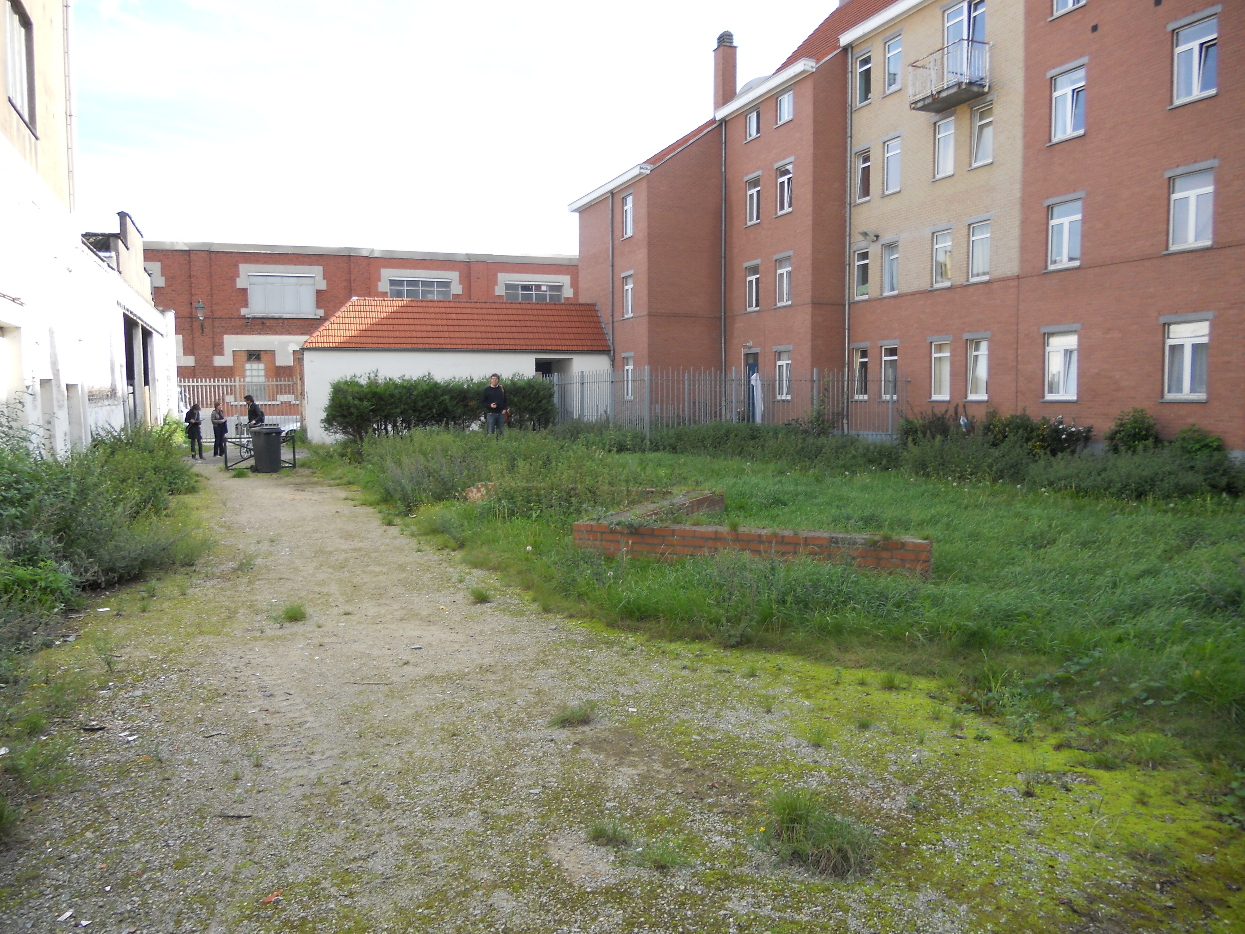 Espoir - friche abandonnée 2