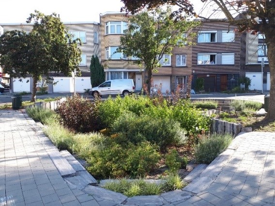 eau   jardin de pluie rue Lumière