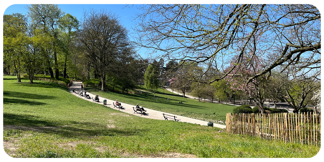 parc de forest