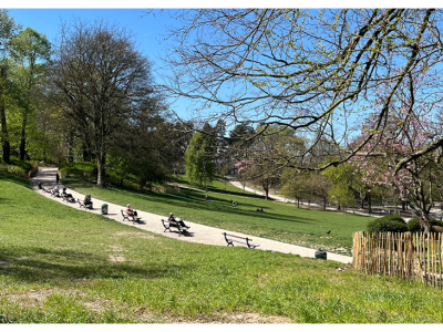 parc de forest
